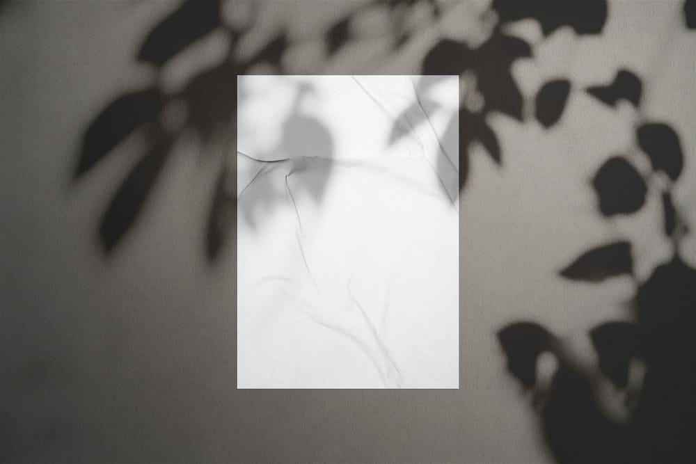 Glued Wall Poster Mockup with Botanical Shadow