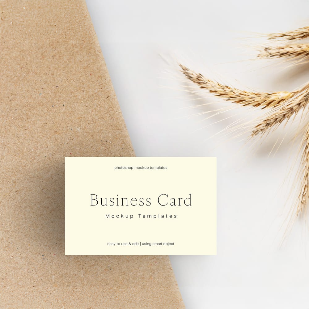 Branding Business Card Mockup Pack