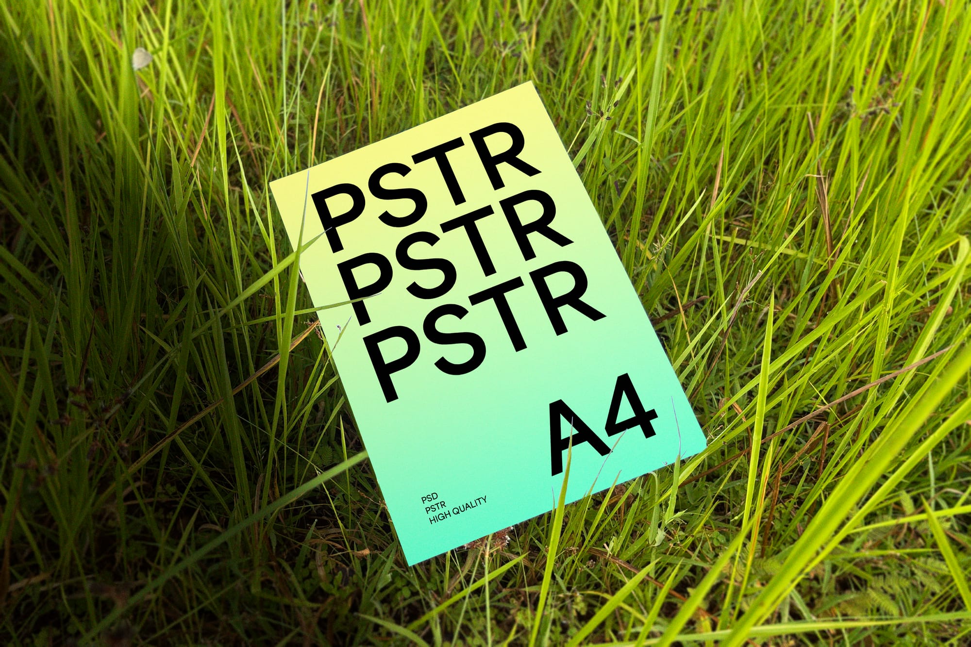 Poster Mockup On Grass