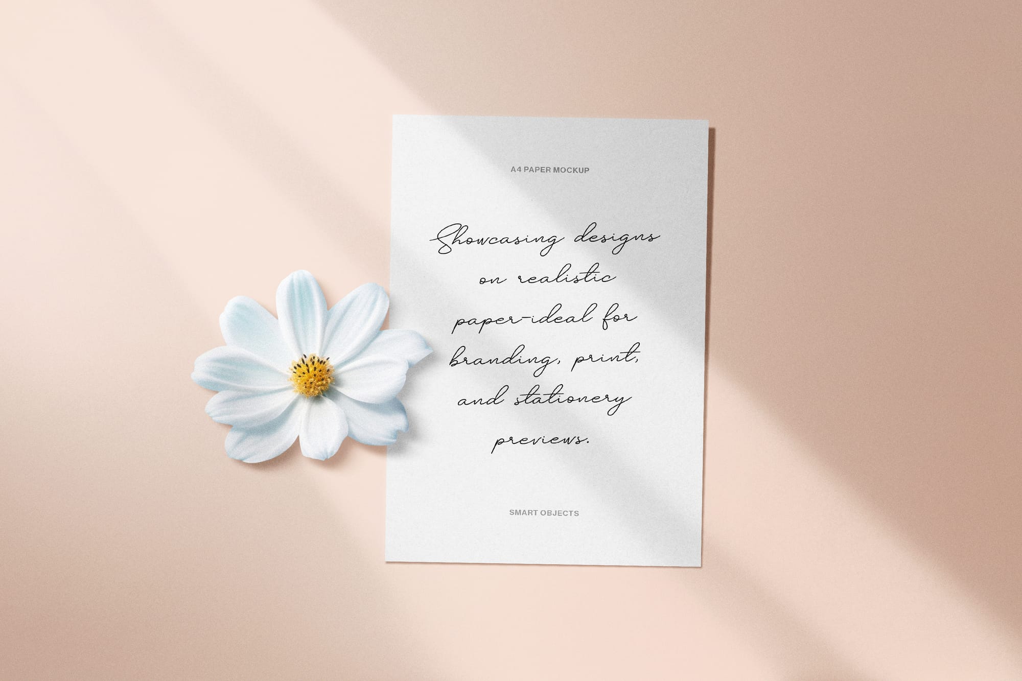 Minimal Paper Mockups