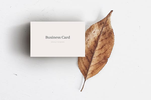 Business Card Mockup With Dry Leaf