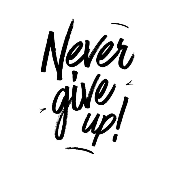 Never Give Up
