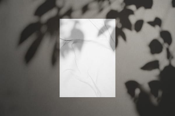 Glued Wall Poster Mockup with Botanical Shadow