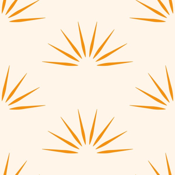 Minimalist Sunburst Pattern
