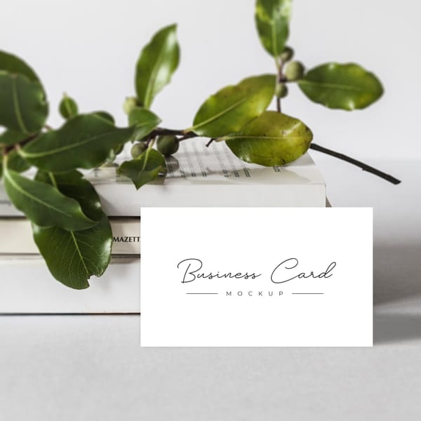 Natural Aesthetic Business Card Mockups