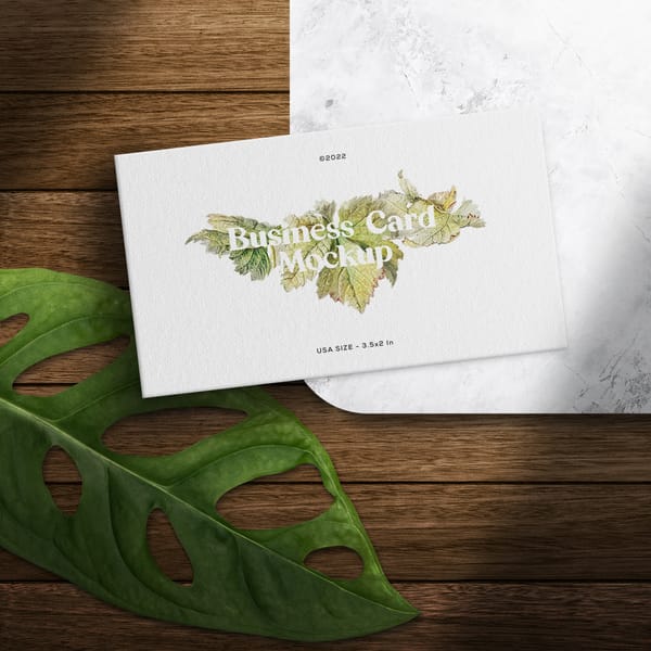 Natural Aesthetic Business Card Mockup