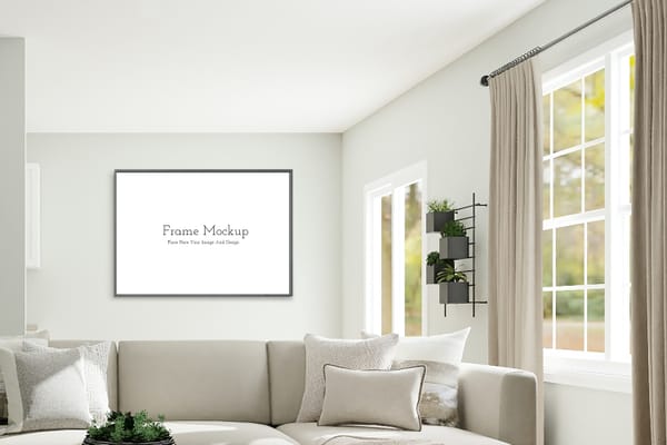 Frame Mock-up