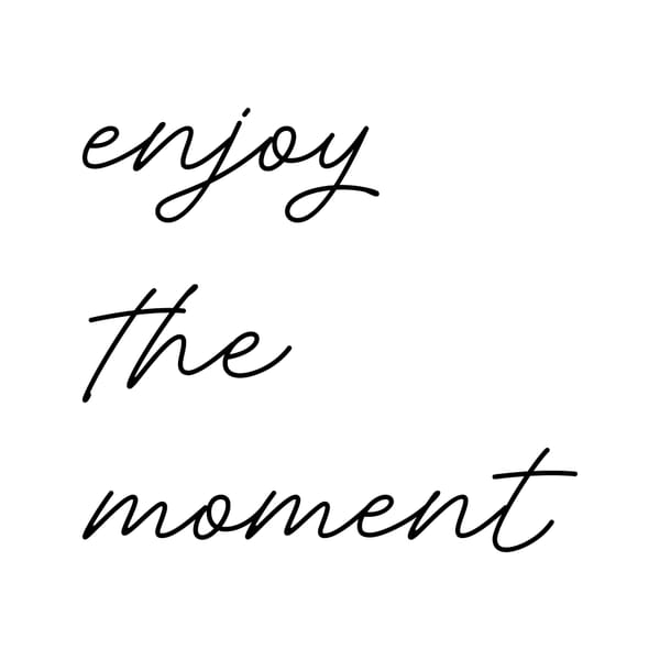 Enjoy The Moment