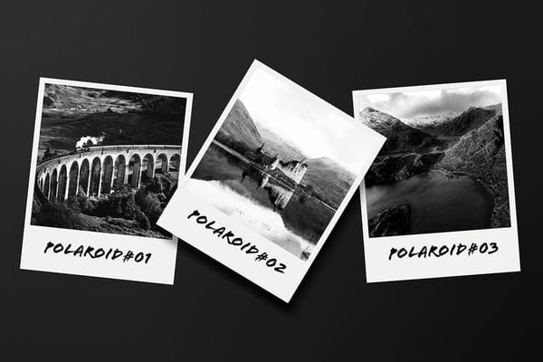 Modern Polaroid Photo Display Mockup