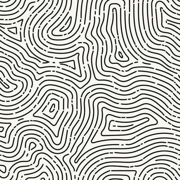 Topographic Flow Pattern