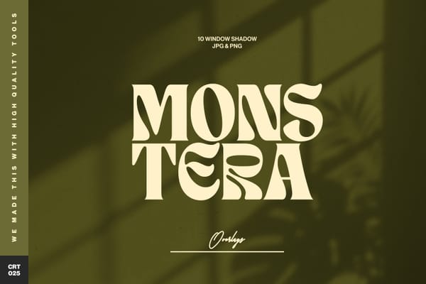 Window Monstera Shadow Overlays