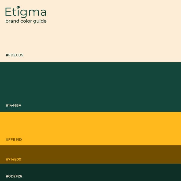 Brand Color Guide Etigma Instagram Post