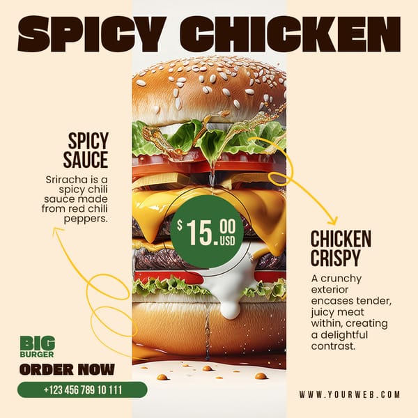 Spicy Chicken Big Burger Instagram Post